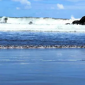 Americas Blue Yosea , Playa de las Americas (Tenerife) Spain