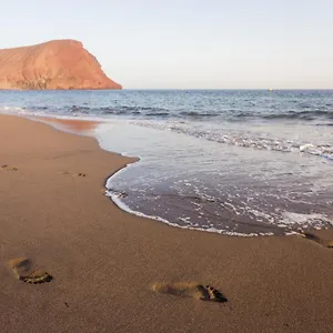 https://169-sotavento-cactus-by-sunkeyrents.in-canary-islands.com