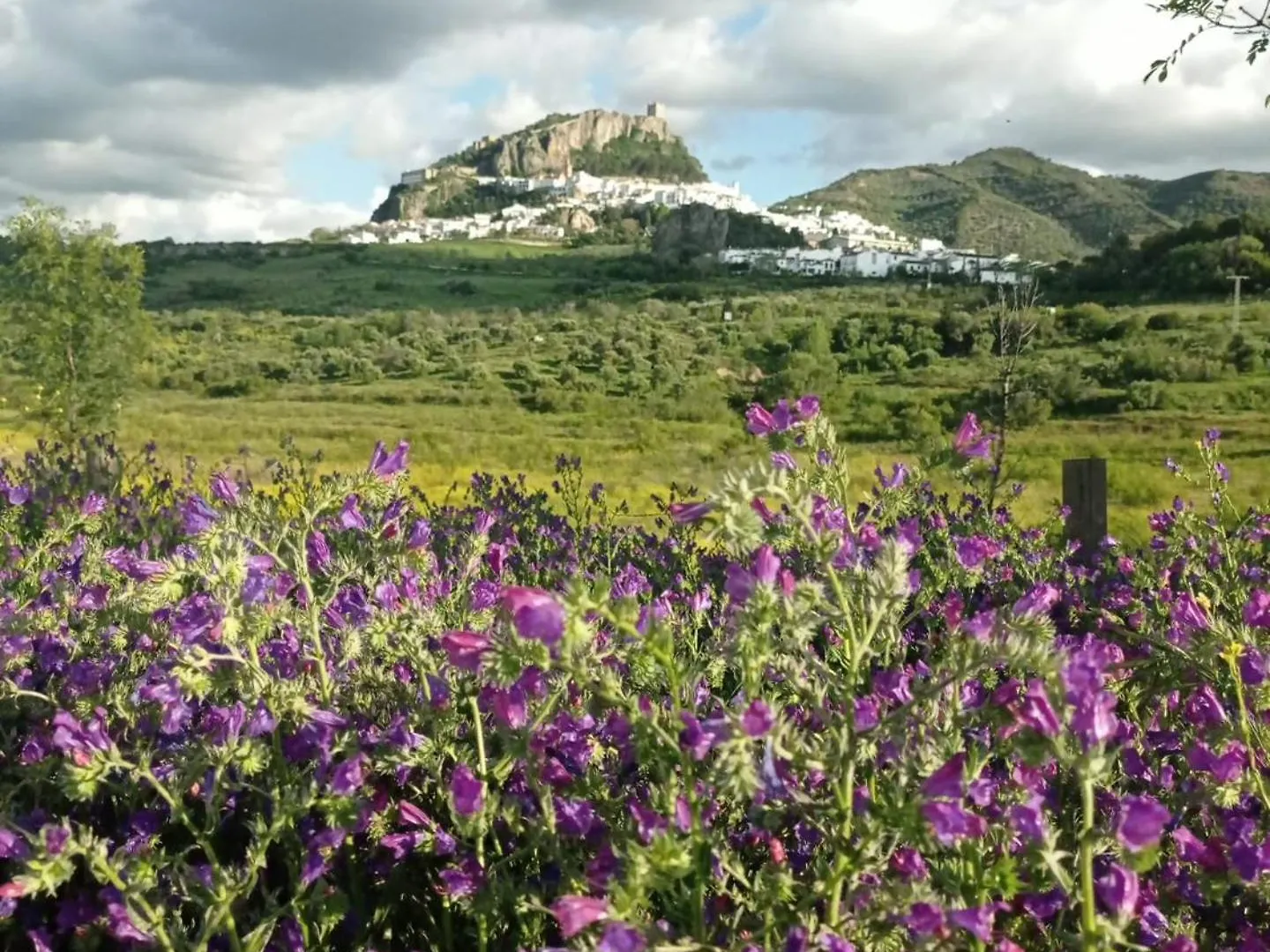 El Detalle Apartamento Y Estudio Zahara De La Sierra 0*,  Spagna